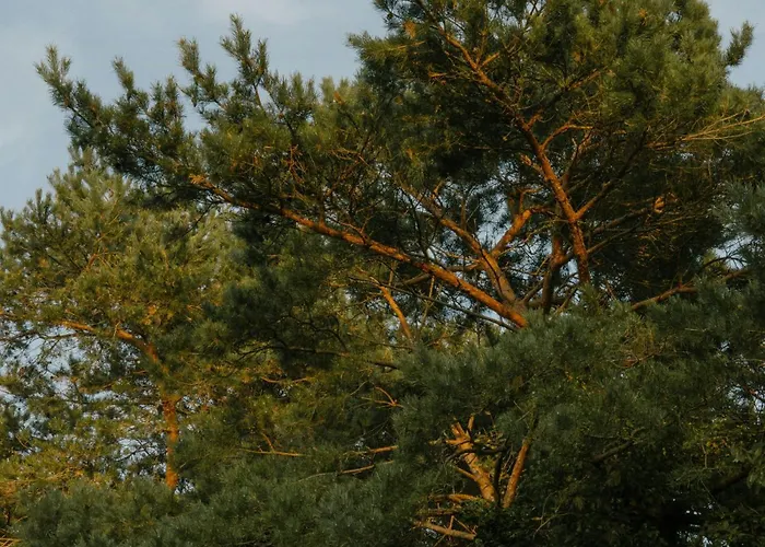 Original Design In 70s Near בית נופש *